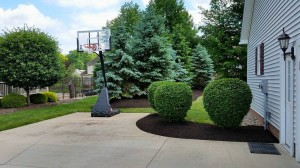 2015-06-04 (8)
